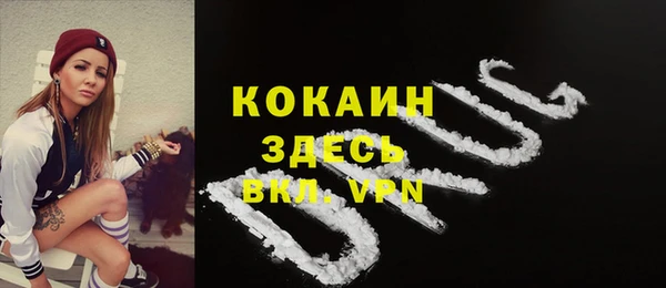 гашик Касимов