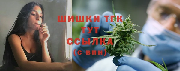 дмт Каменка