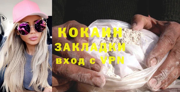 гашик Касимов