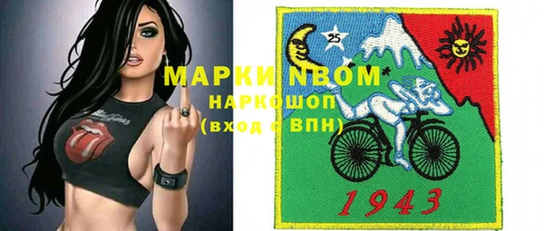 гашик Касимов