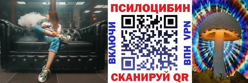 Галлюциногенные грибы Psilocybe  Саратов 