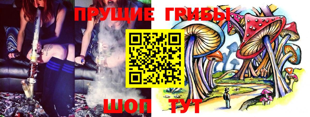 Псилоцибиновые грибы мицелий Саратов