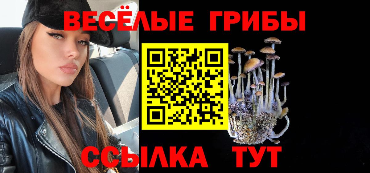 Псилоцибиновые грибы Magic Shrooms  Псилоцибиновые грибы GOLDEN TEACHER  Саратов 