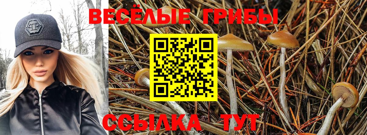 Псилоцибиновые грибы прущие грибы  Вход с VPN  Саратов 